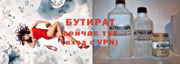 индика Гусь-Хрустальный