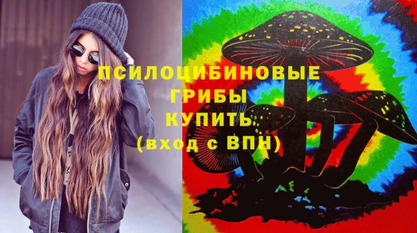 индика Гусь-Хрустальный