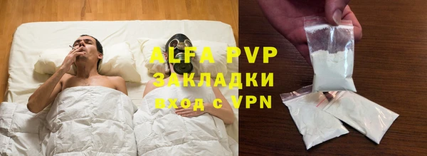 индика Гусь-Хрустальный