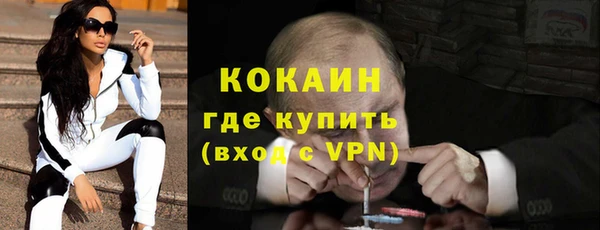 индика Гусь-Хрустальный