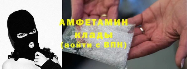 индика Гусь-Хрустальный