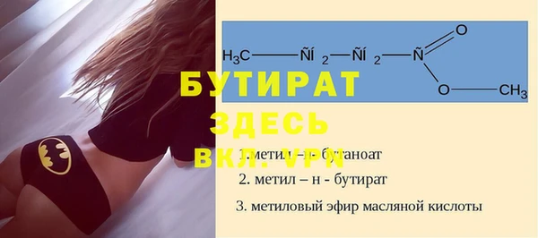 индика Гусь-Хрустальный
