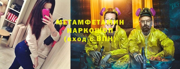 индика Гусь-Хрустальный