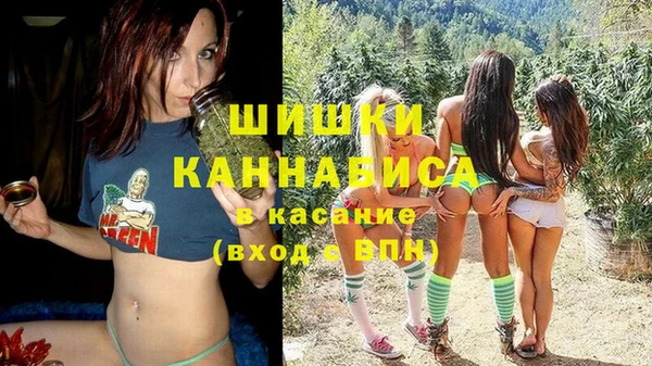 индика Гусь-Хрустальный