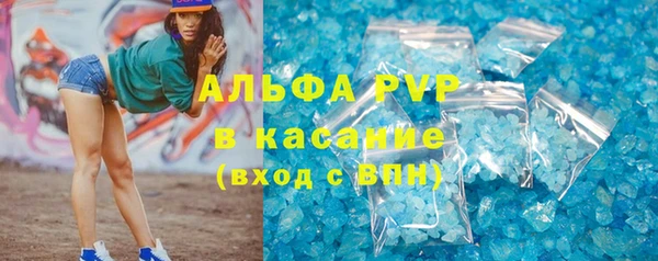 индика Гусь-Хрустальный