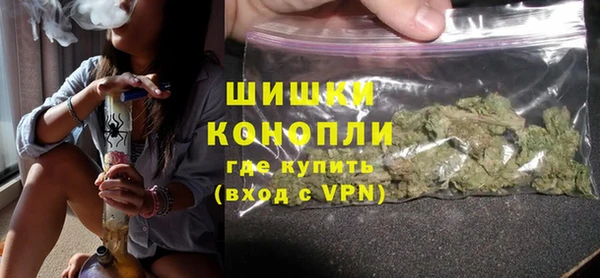 индика Гусь-Хрустальный