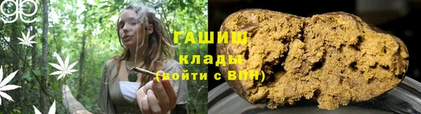 индика Гусь-Хрустальный