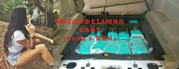 индика Гусь-Хрустальный