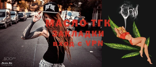 индика Гусь-Хрустальный