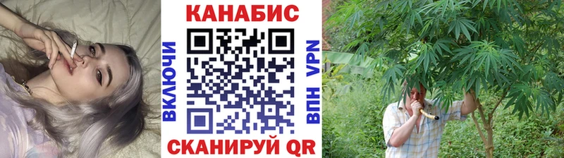 Конопля индика Малая Вишера